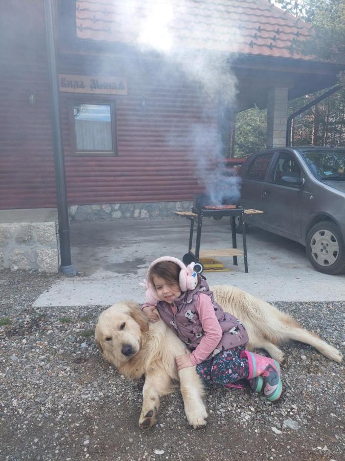 Vila Mina Kaludjerske Bare Luaran gambar